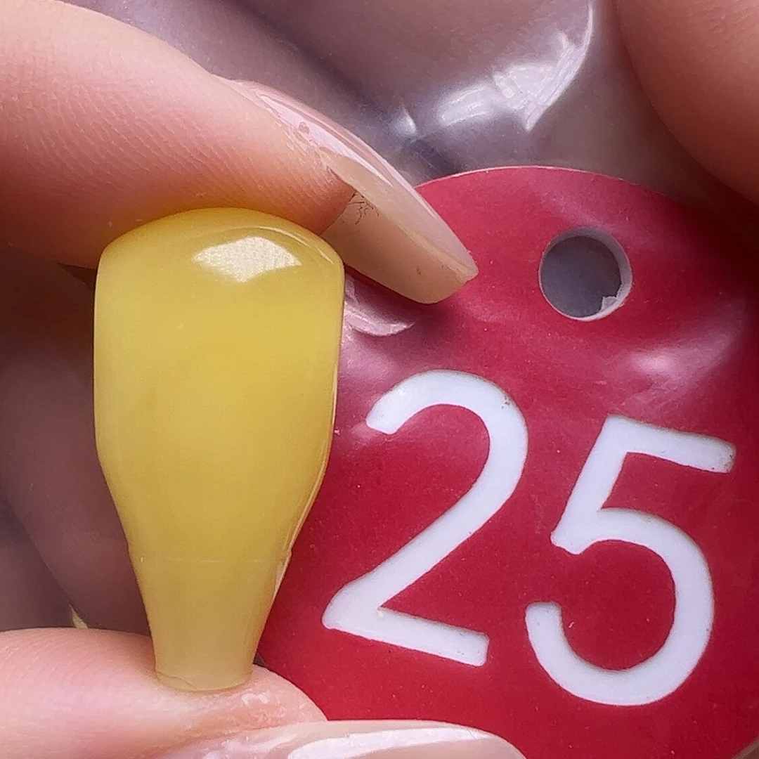 蜜蜡未镶嵌珠宝奇石微瑕11.5mm三通