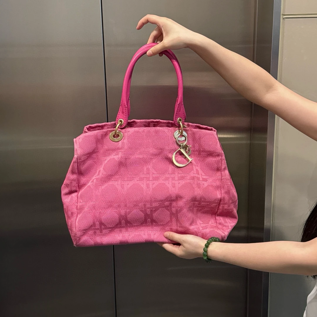 95新 DIOR/迪奥 dior火龙果色帆布托特