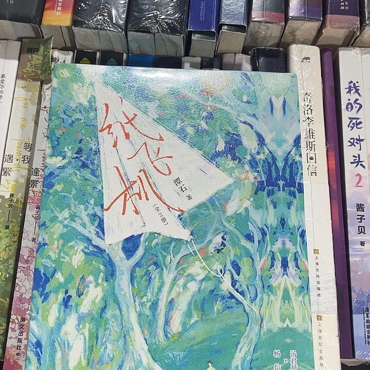 纸飞机全新全套两本带刷边正版