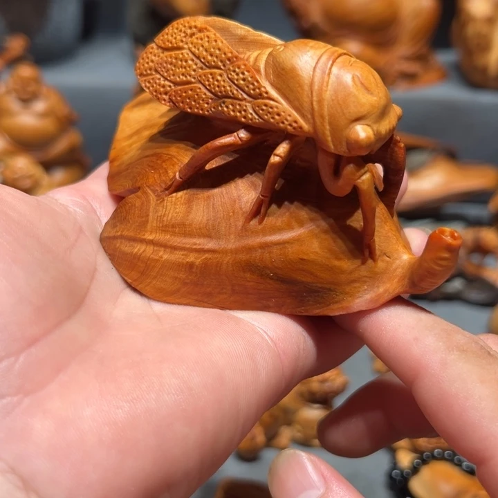 柏木（崖柏）点点关注，感谢
