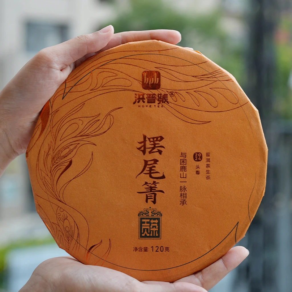 洪普号2024春摆尾箐生茶古树纯料云南普洱茶120g
