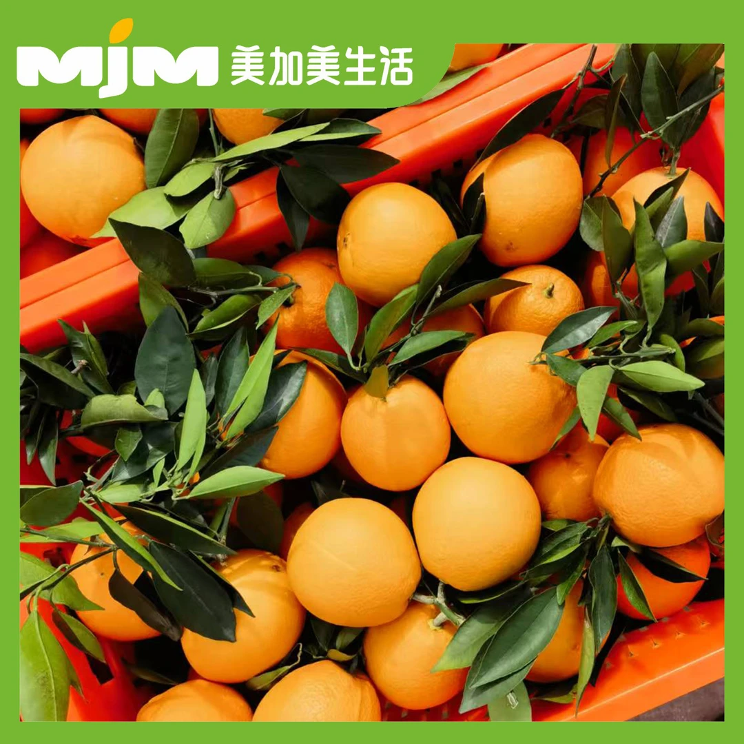 【5斤±50g/份】四川鲜脐橙