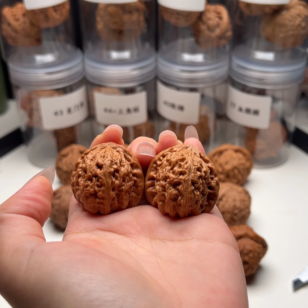 核桃手串/手链35尺白狮子