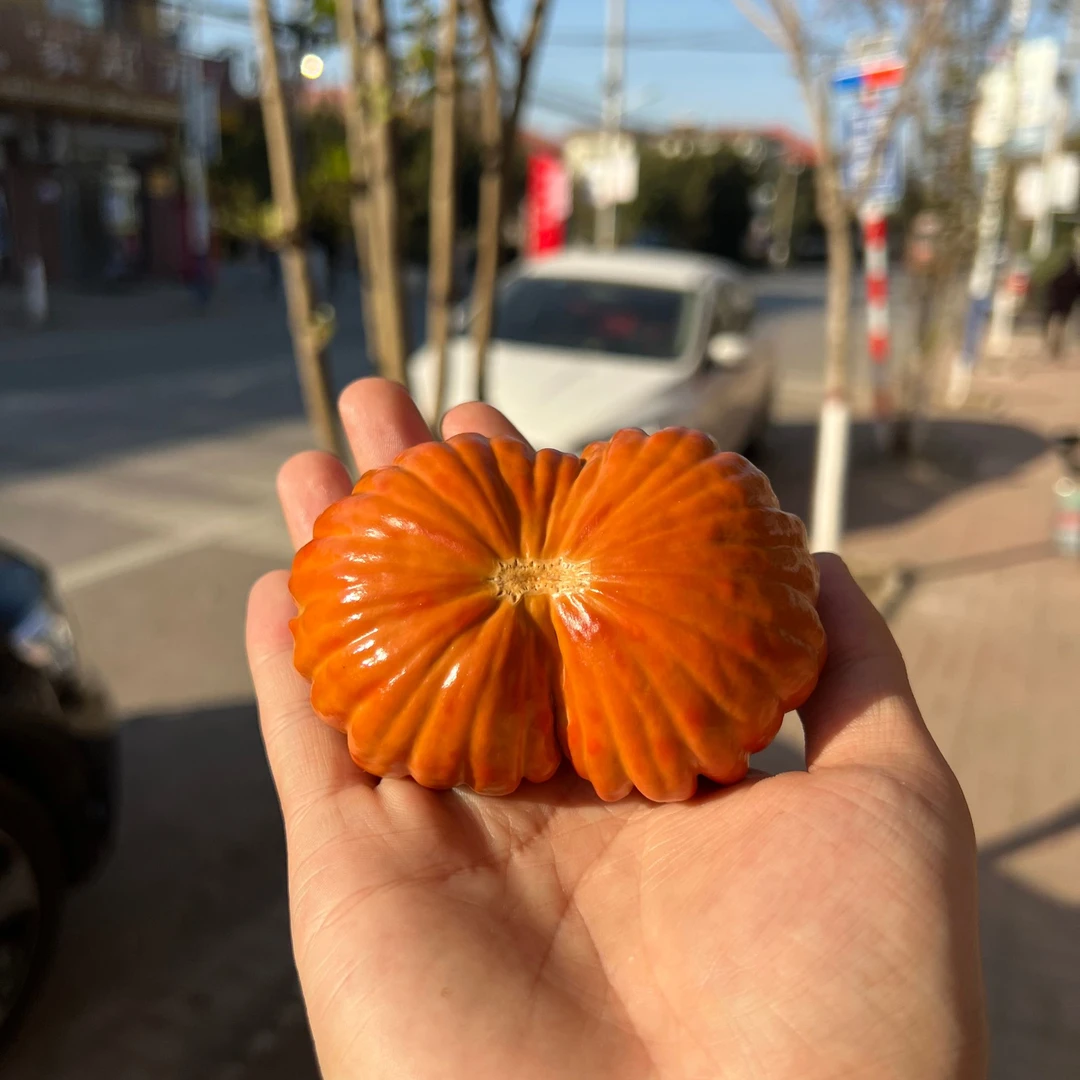 直播间葫芦选货链接（请勿错拍）