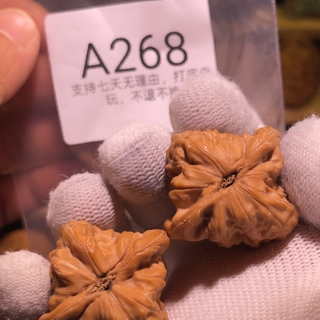 核桃手串/手链35白蛇