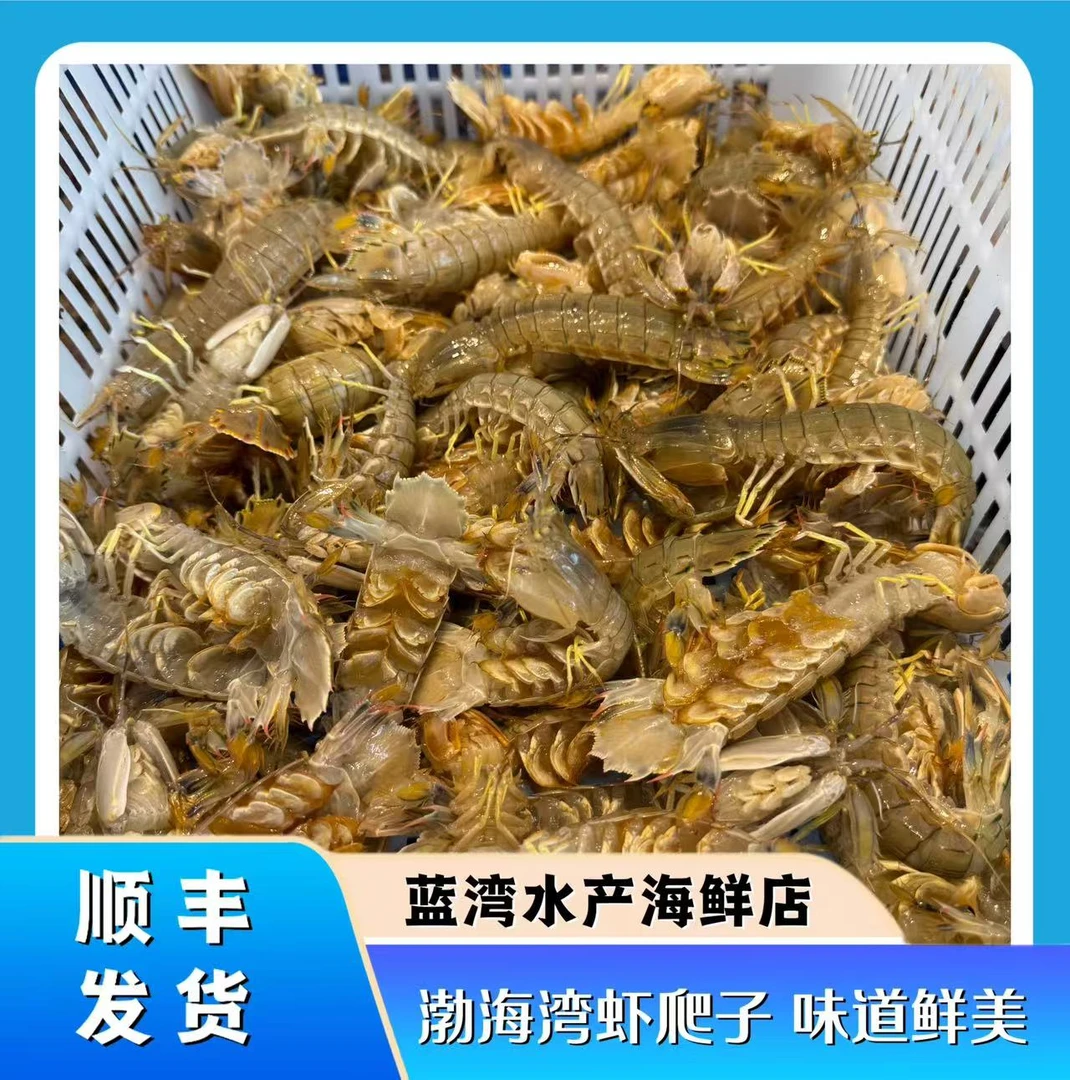 渤海湾本海大虾爬子