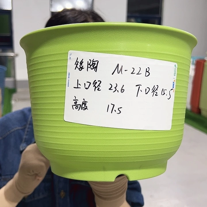 正品矮陶口24高17果绿无托6个