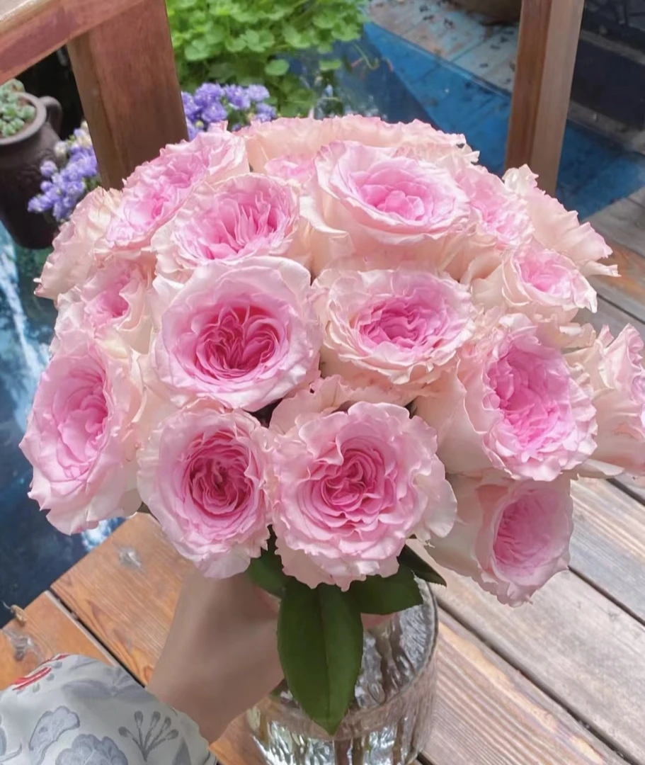 T【弗洛伊德+洛神+爱莎】一单京东顺丰送货上门偏远地区发空运