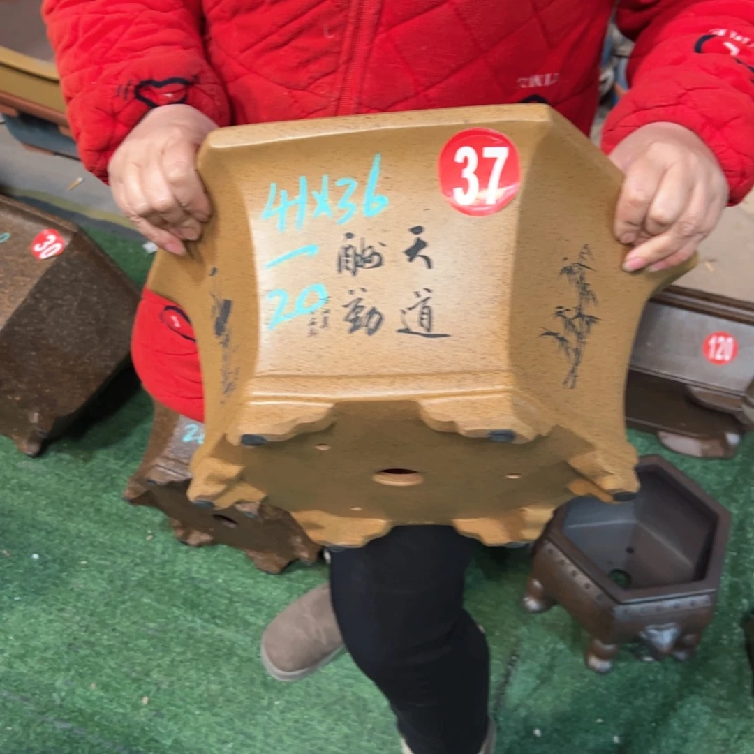 紫砂花盆紫砂花盆