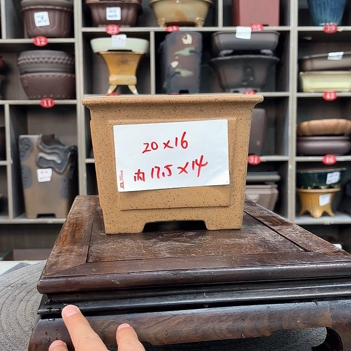 紫砂花盆紫砂的花也太