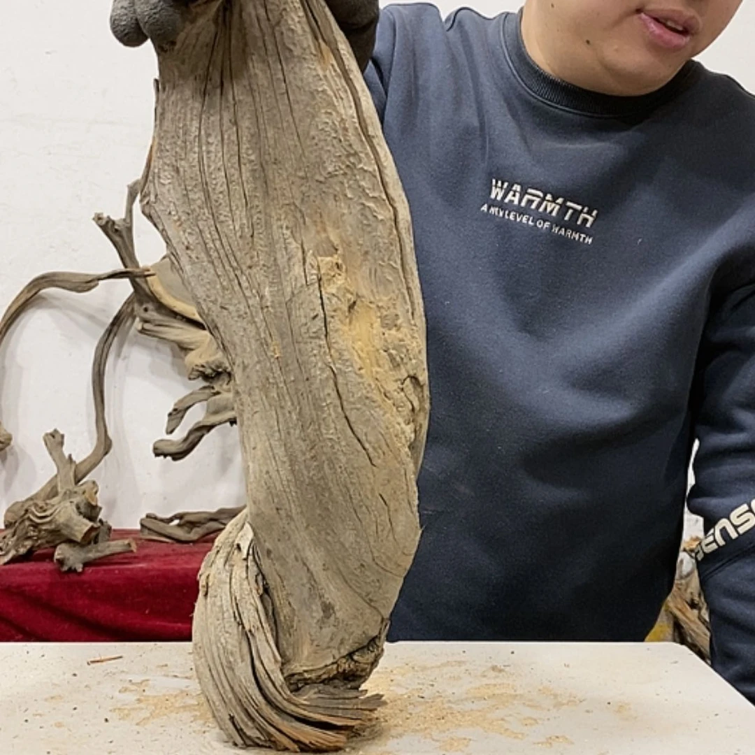 【闪购商品】柏木展****）我们都是好孩子