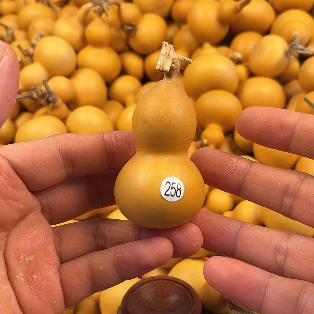 五葫芦葫芦葫芦葫芦258