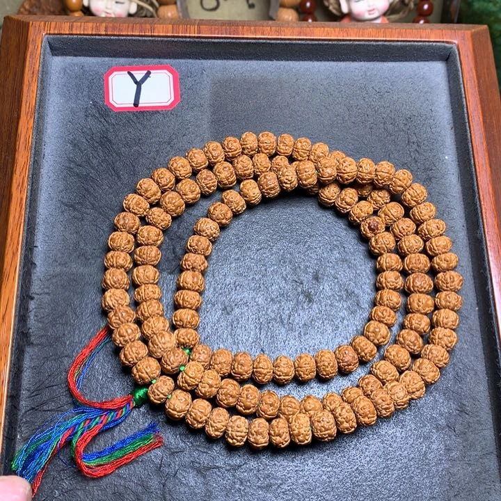 金刚菩提吊坠菩提