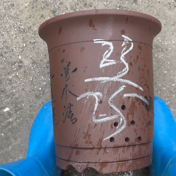 紫砂花盆紫砂的花