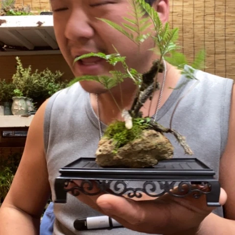 红陶一物一拍所见即所得97