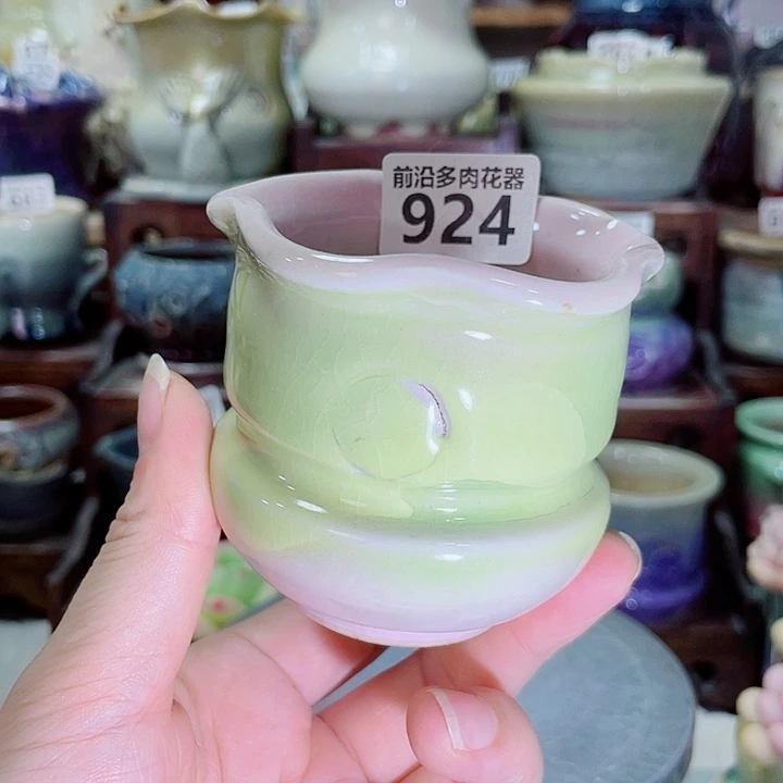 狼盆内口径6高度7