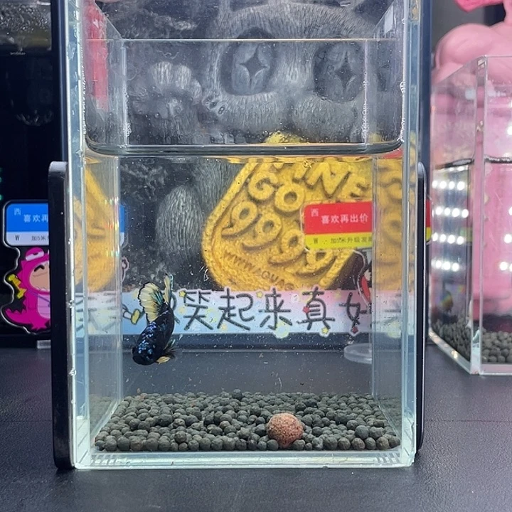 斗鱼18号926早暗黑