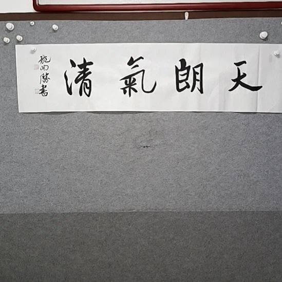 书法天朗气清四尺对开书法