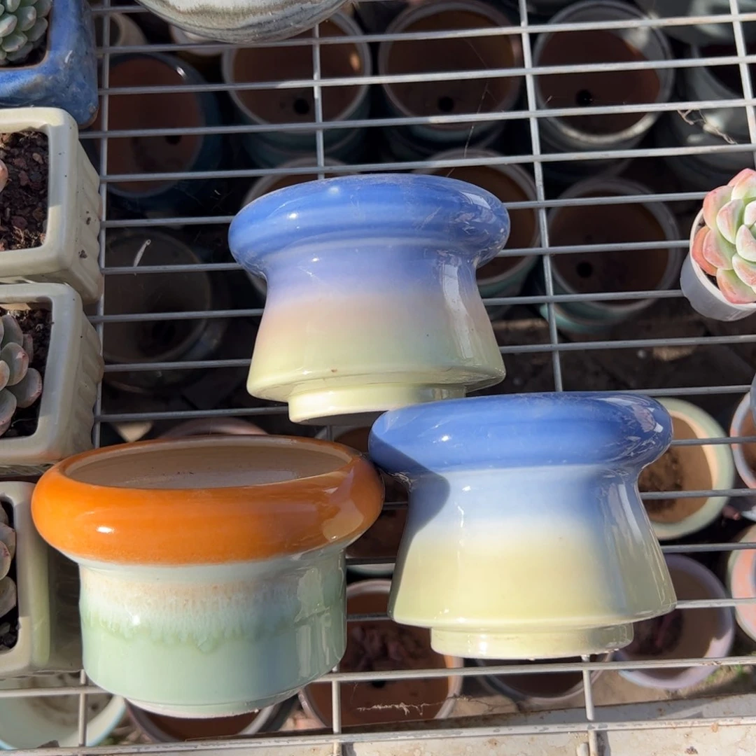 新疆包邮 三只中号盆