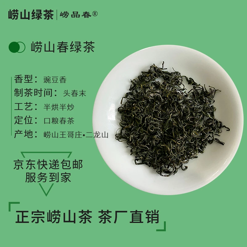 崂品春2025崂山绿茶春绿茶口粮茶豆香浓甘醇青岛特产袋装产地直销