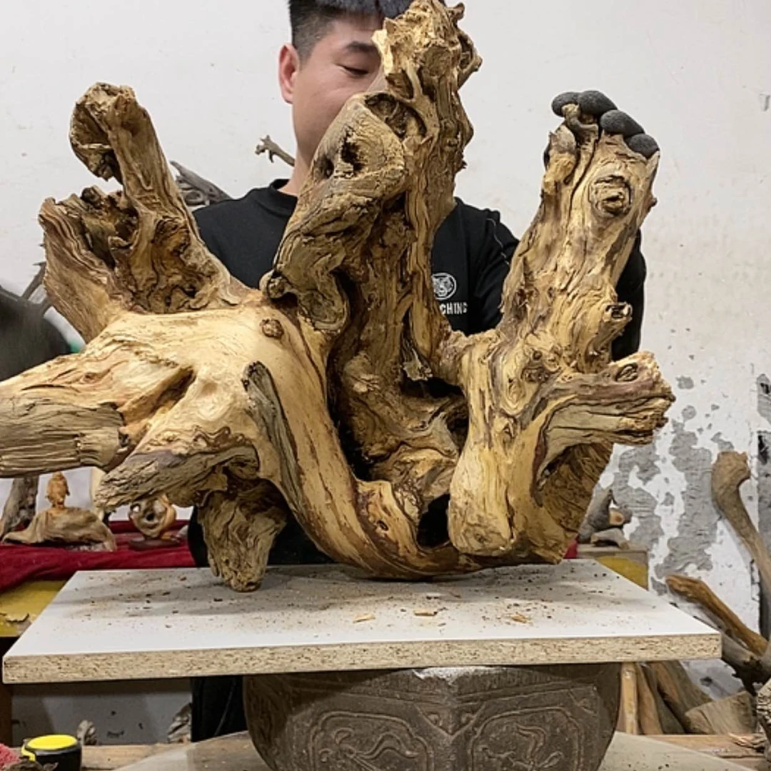 【闪购商品】柏木张*忠我们都是好孩子