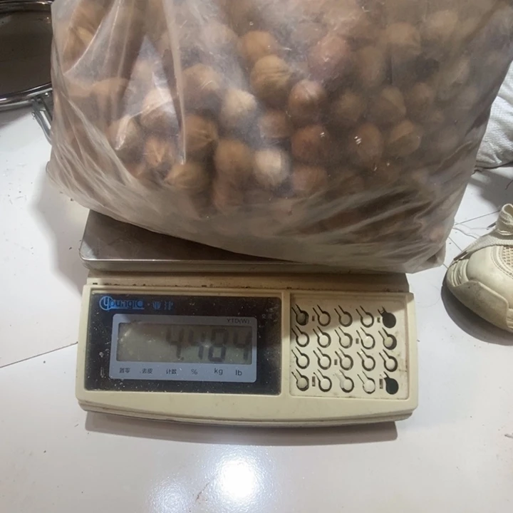 香榧木存****】8.9斤铁核