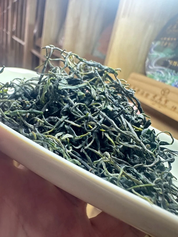 2025新茶信阳毛尖口粮茶雨后茶一芽二叶口感浓郁醇厚回甘生津