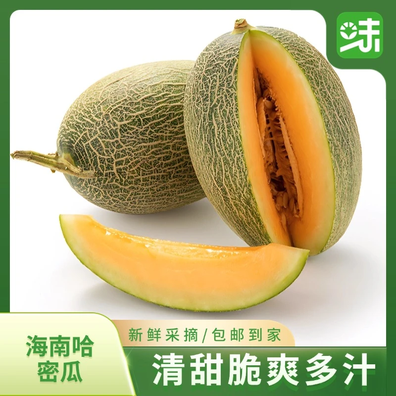 海南哈密瓜脆爽多汁营养美味瓜香浓郁新鲜采摘发货T1