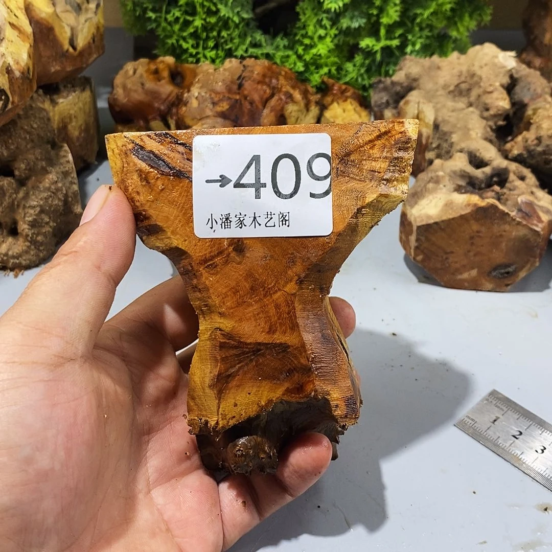 风车木（黑檀木）开**乐麻梨疙瘩