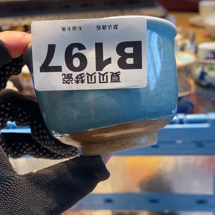 罗***长哈哈哈哈哈哈哈哈