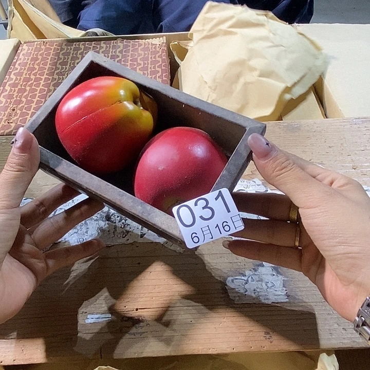 杯用****2啦啦啦啦啦丽江丽江丽江啦