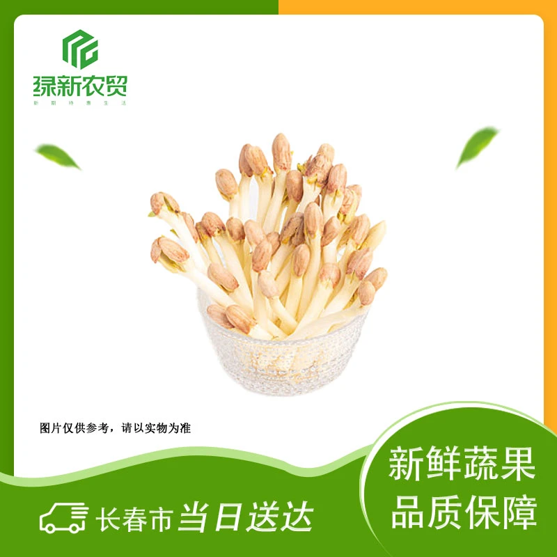 Y  花生苗 约400g±50g/盒