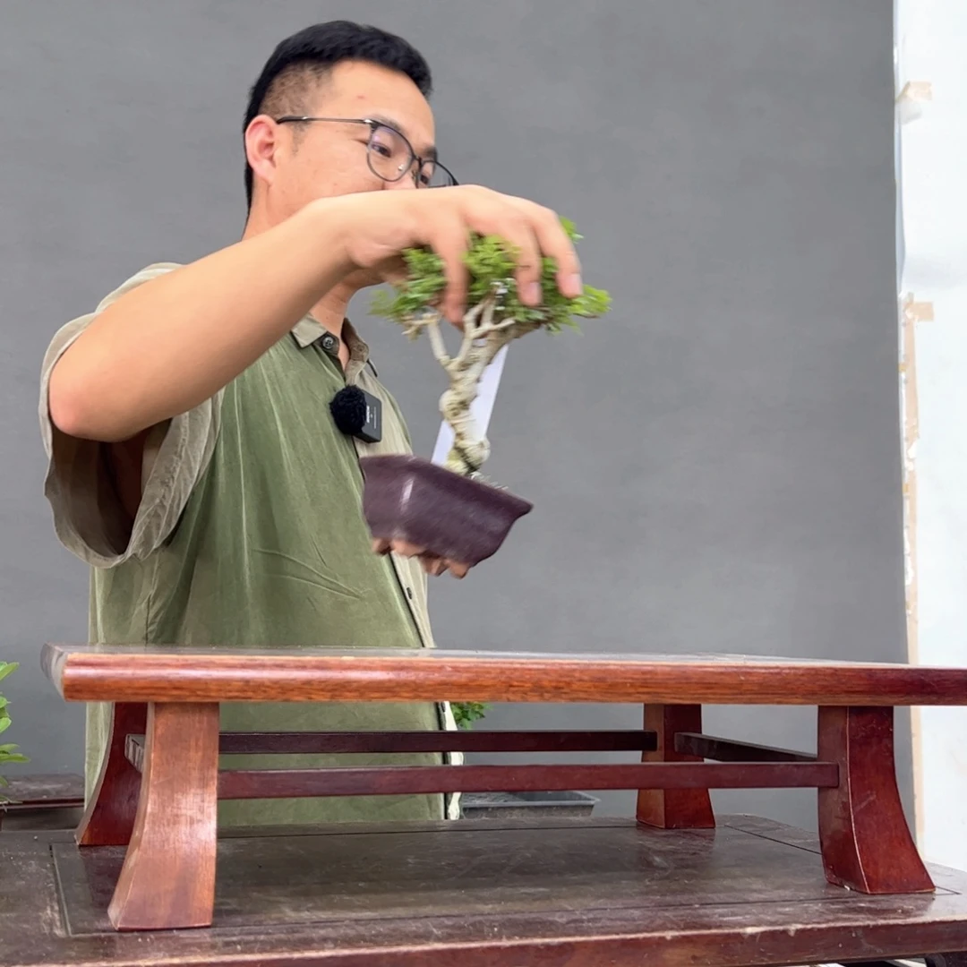 明**景88顺丰到付。