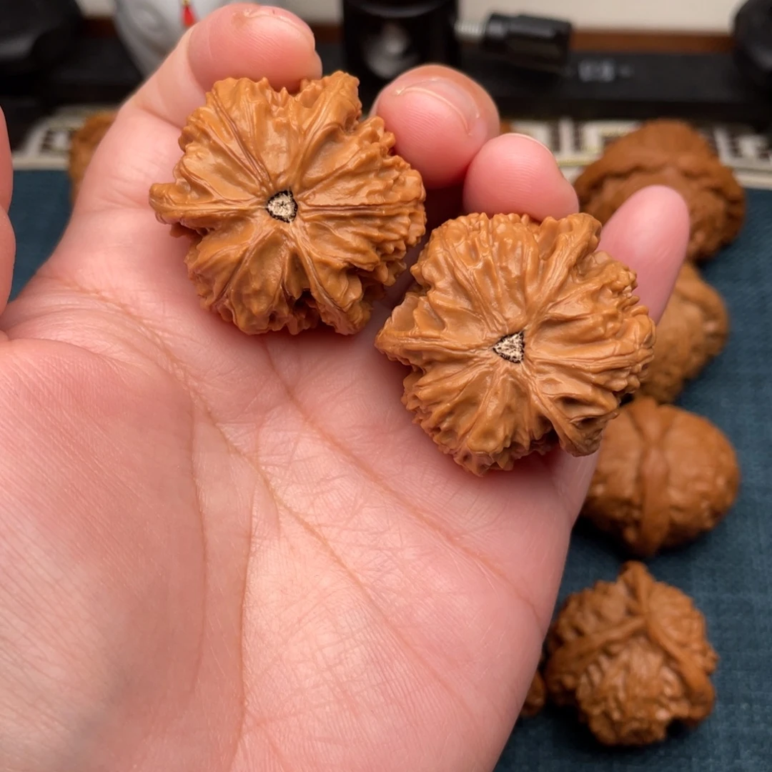 文玩核桃把件全品御龙三棱正奔38