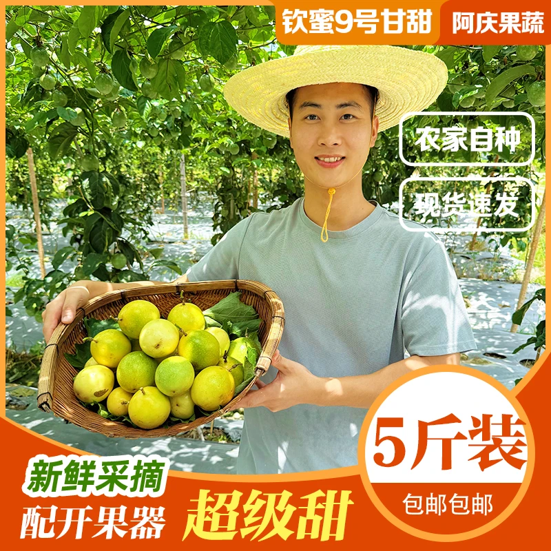 黄金钦蜜9号 黄金百香果5斤装精品果
