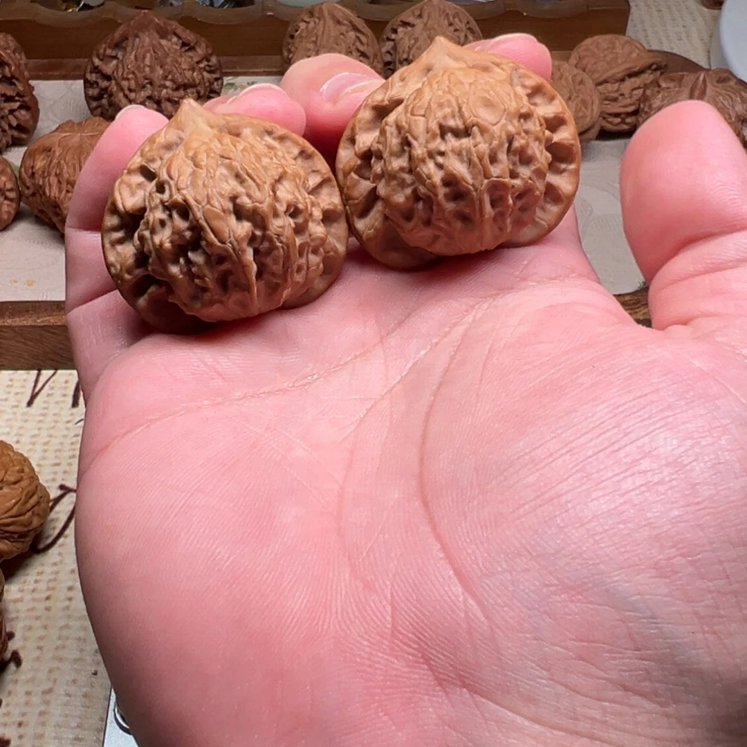 东***强全品无修大耳朵图图