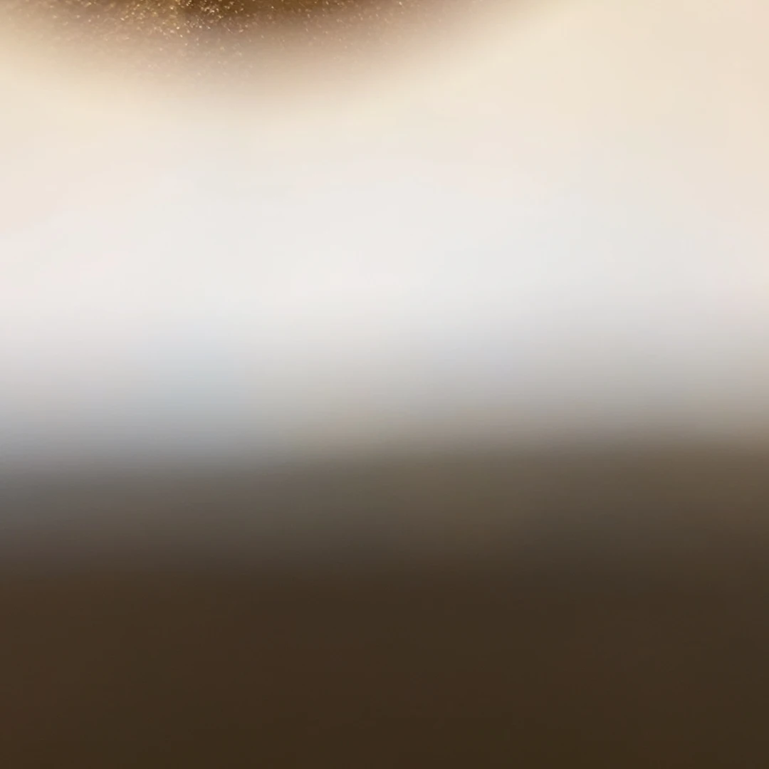 老***海高温正宗手工花盆