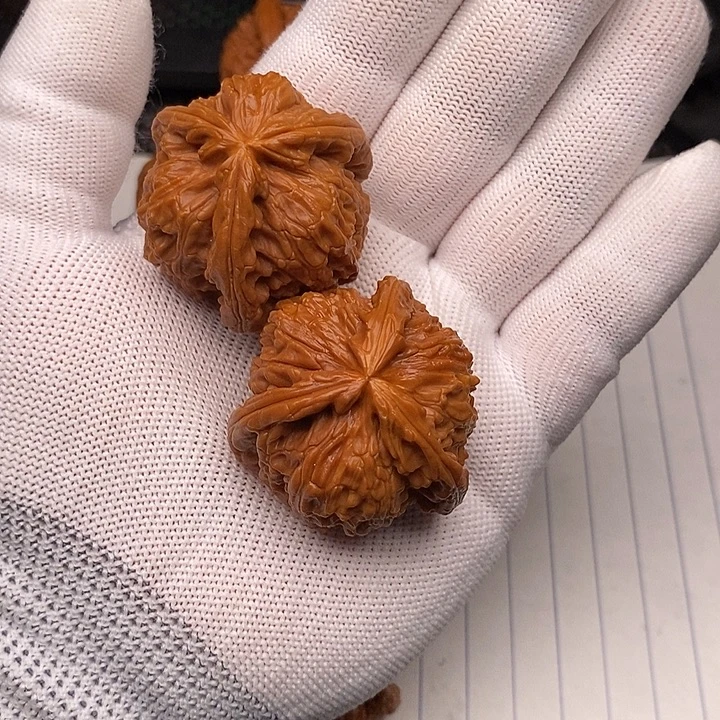 手串/手链核桃拼接白狮子8