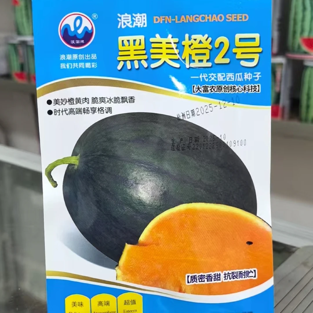 黑美橙2号，早熟，黑皮橙黄色瓤子西瓜种子甜脆爽口（每袋200粒）