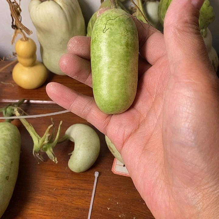 哼****青皮葫芦手把件摆件