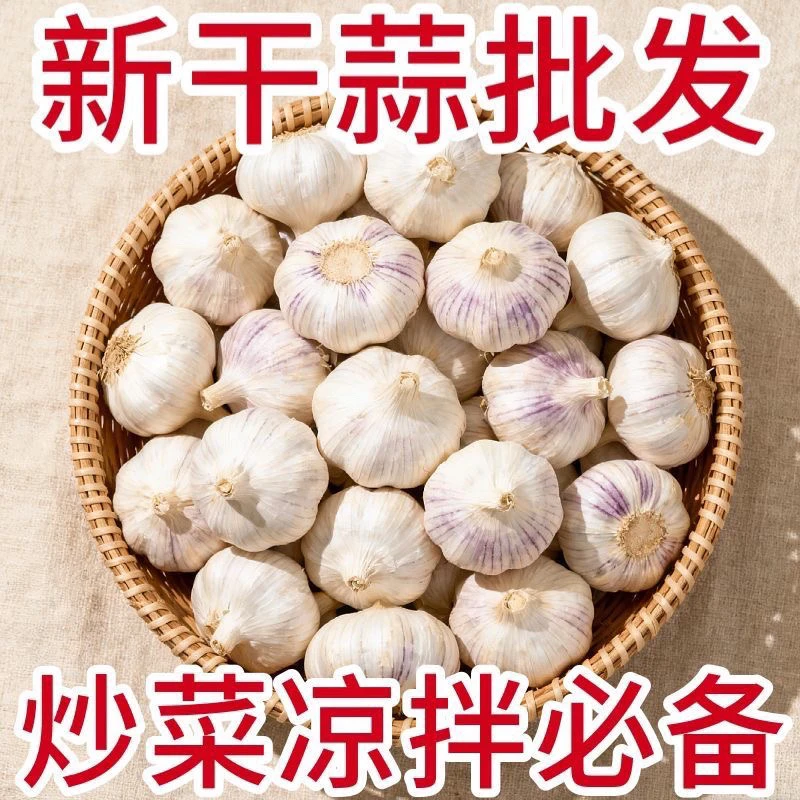2025年山东鲜干蒜紫白皮可腌制糖蒜腊八蒜