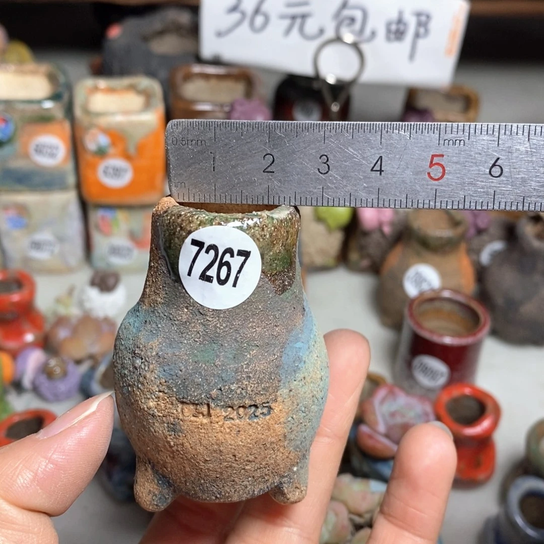 花盆拍3送一个小礼物