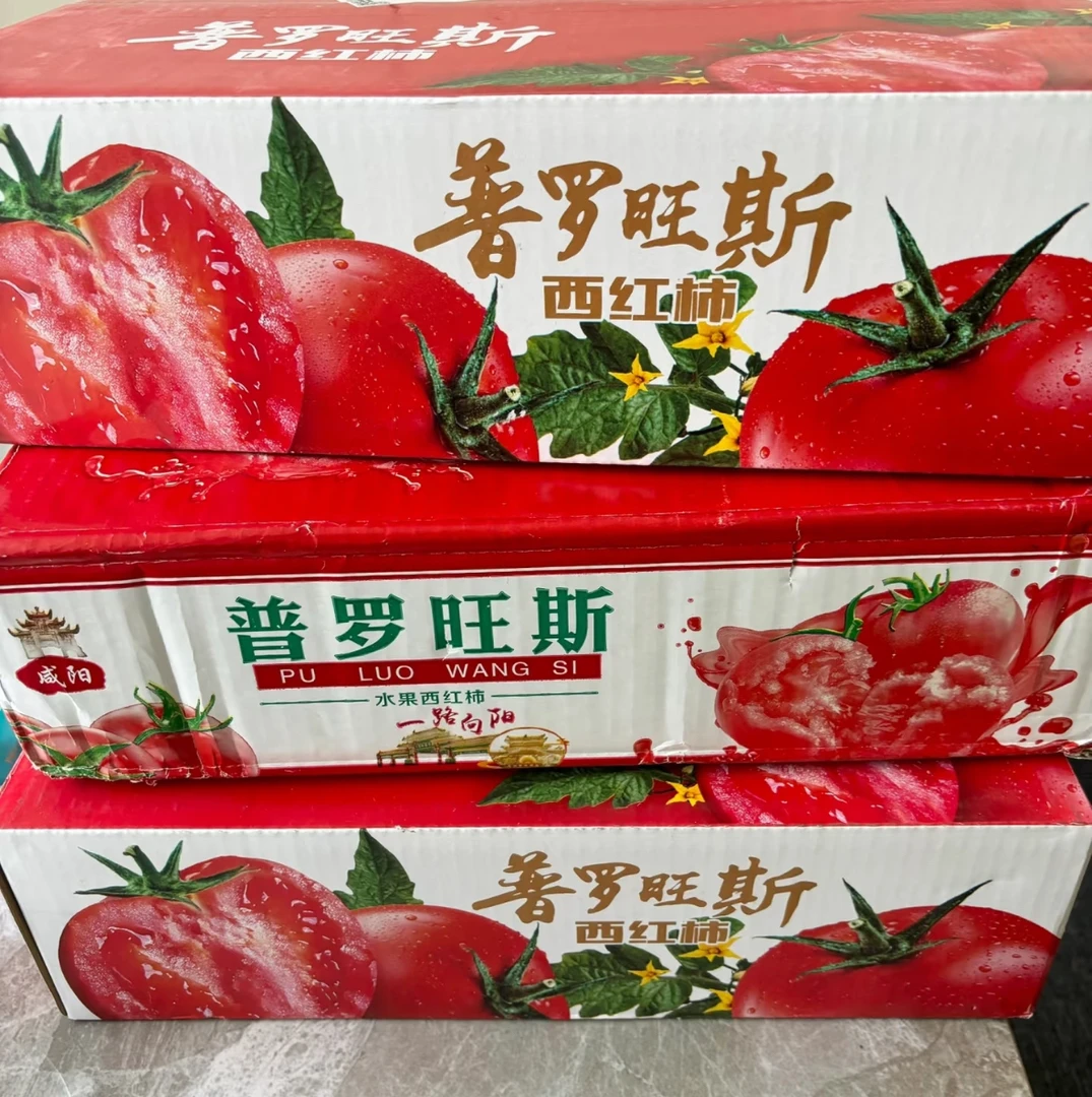 普罗旺斯西红柿五斤现摘现发