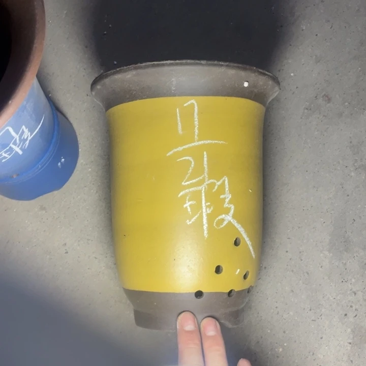 试试再说周三周四
