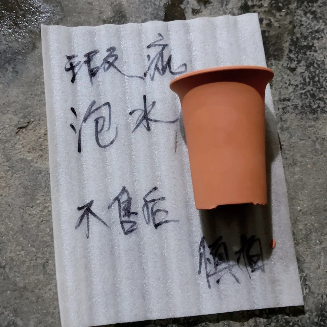 【闪购商品】红陶大瑕疵观兰13口16高1个瑕疵