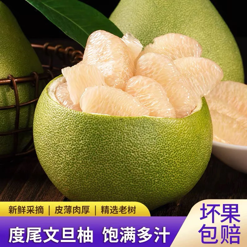 -/纳学正宗度尾文旦柚【顺丰包邮】当应季孕妇新鲜水果福建红心柚子