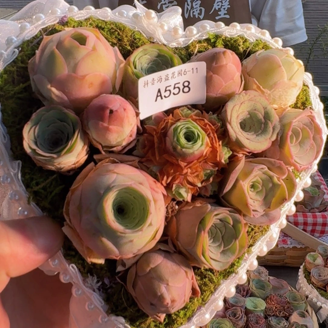 A558 苔藓心形花篮玫瑰组合