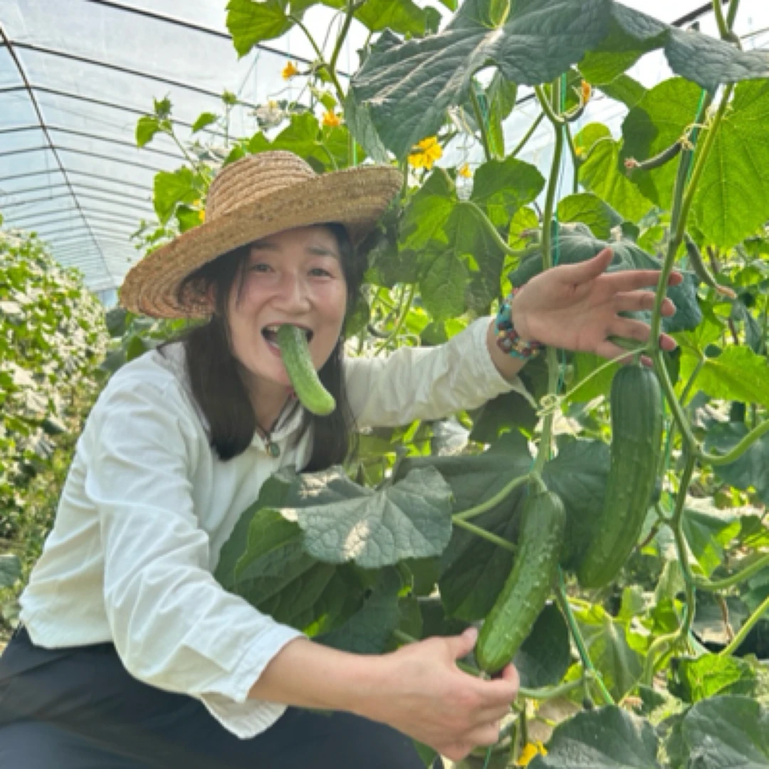 【女支书欧阳姐姐】竹溪本地种植水果黄瓜旱黄瓜新鲜清脆现摘现发