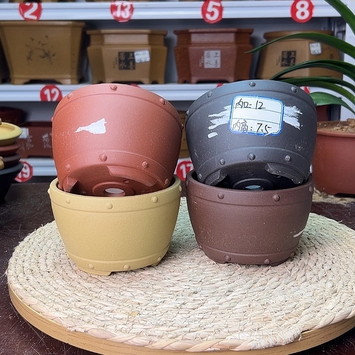 紫砂花盆蛇年大吉