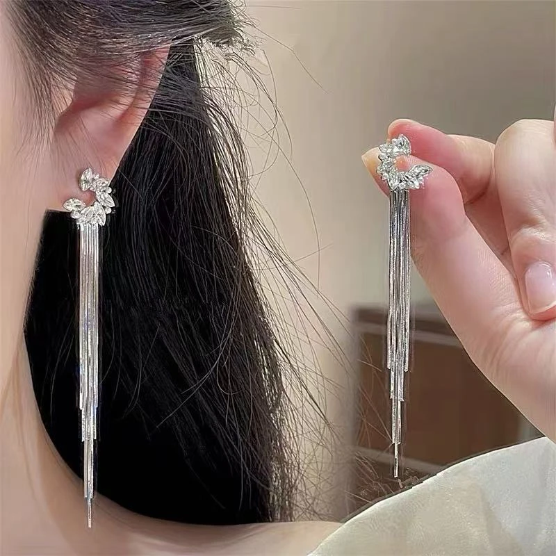 925银针锆石蛇骨流苏耳环2025新款爆款高级感拼接耳钉长款耳饰女